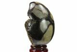 Septarian Dragon Egg Geode - Black Crystals #134436-1